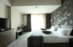 Stara planina hotel